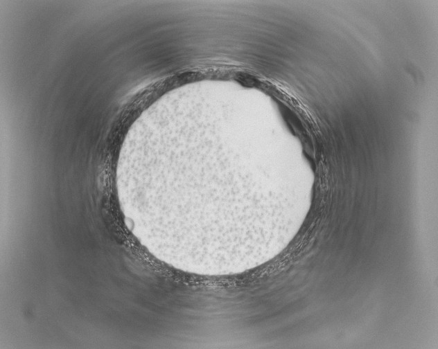 X0000114511063200911301143