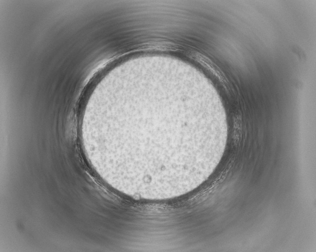 X0000114511067200911301143