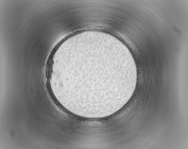 X0000114511079200911301143