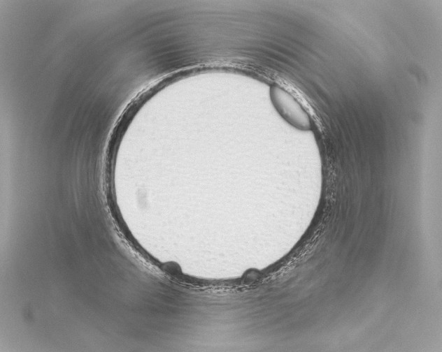 X0000114511080200911301143