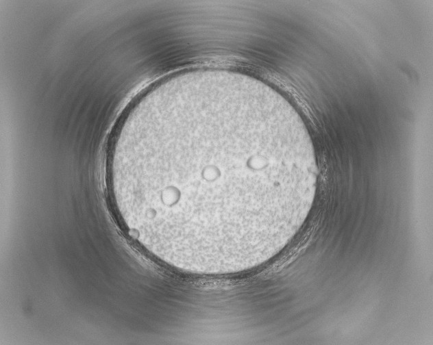 X0000114511083200911301143