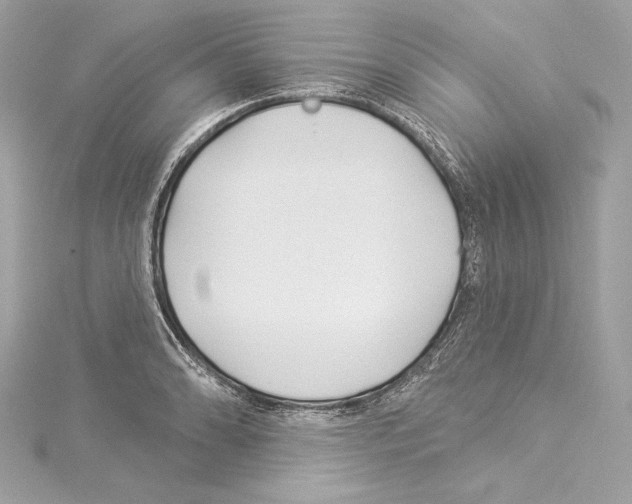 X0000114511086200911301143