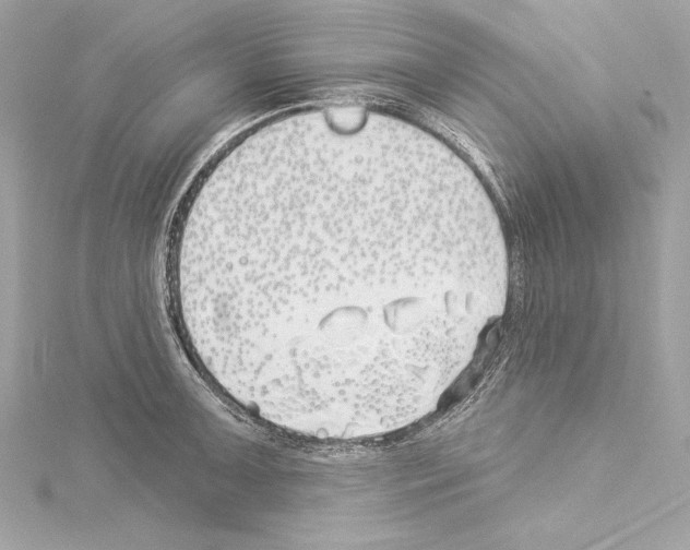 X0000114511091200911301143