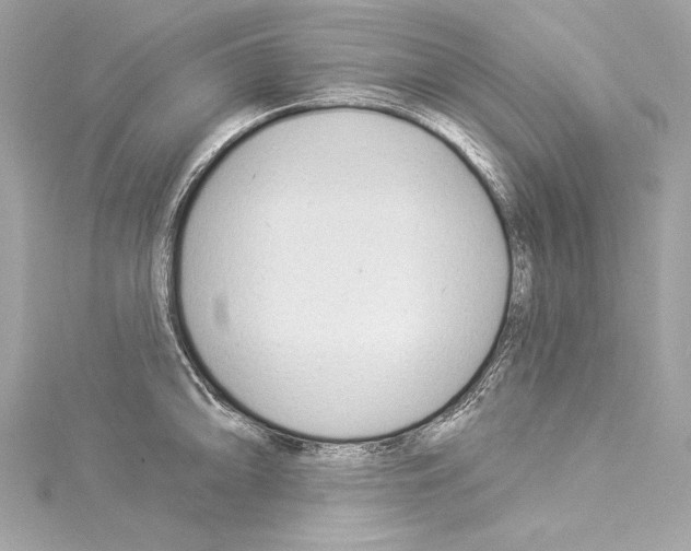 X0000114511094200911301143