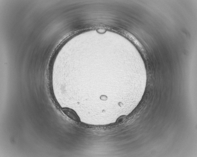 X0000114511096200911301143