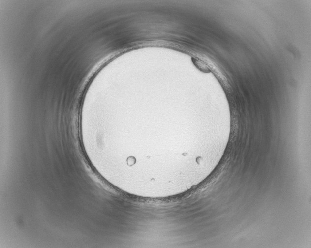 X0000114511100200911301143