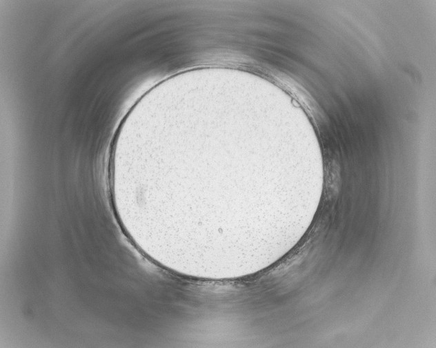 X0000114511103200911301143