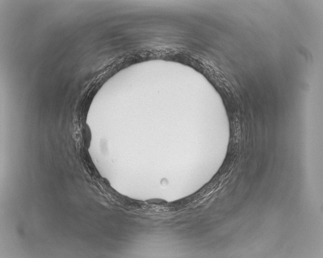 X0000114511109200911301142