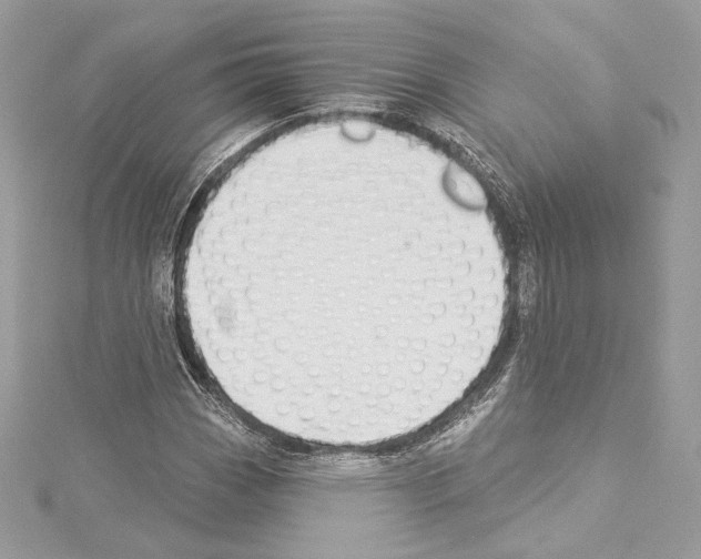 X0000114511113200911301142