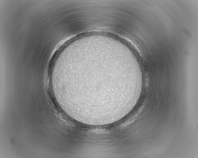 X0000114511117200911301142