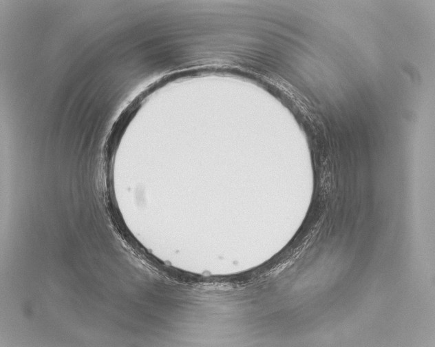 X0000114511118200911301142