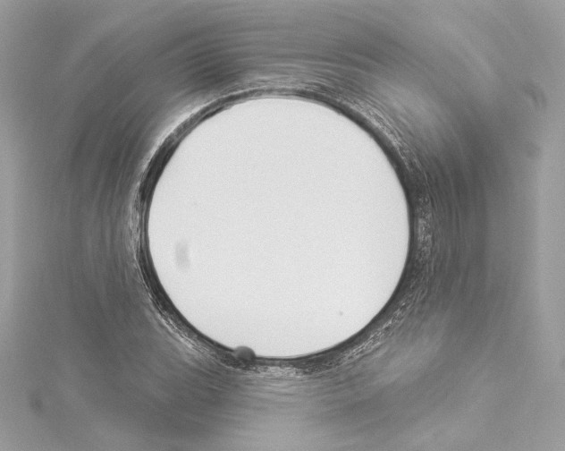 X0000114511119200911301142