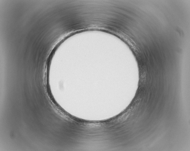 X0000114511126200911301142