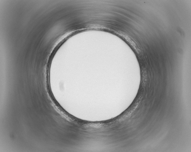 X0000114511134200911301142