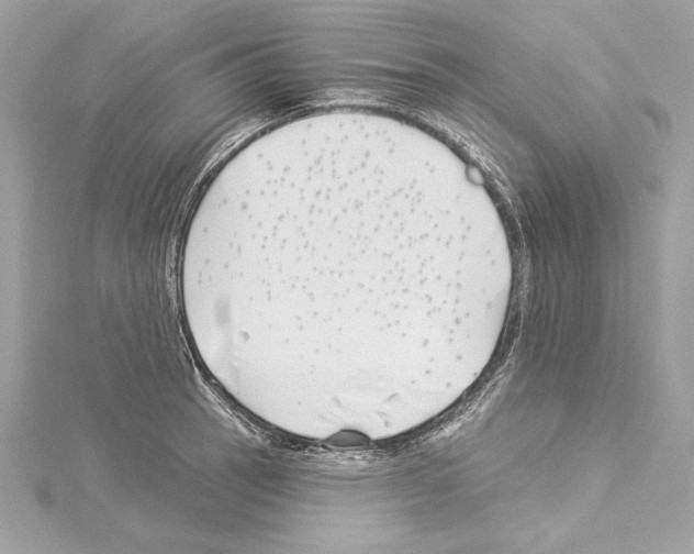 X0000114511137200911301142