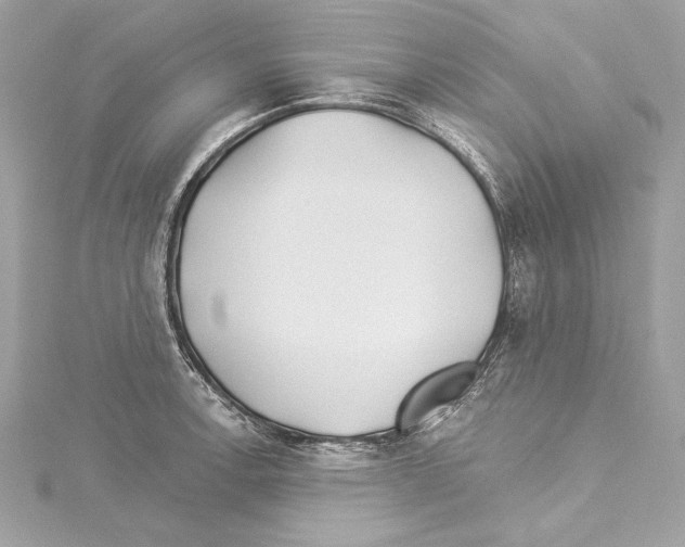 X0000114511138200911301142