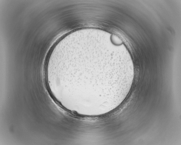 X0000114511141200911301142