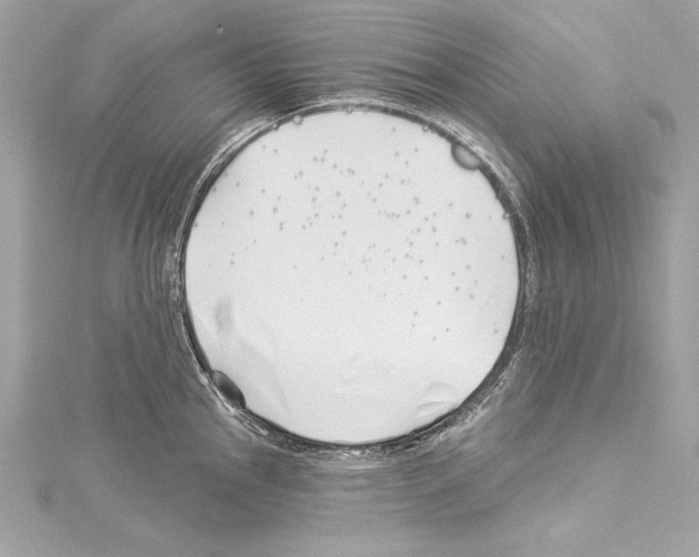 X0000114511145200911301142