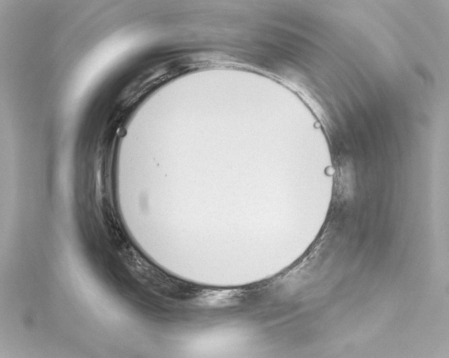 X0000114511150200911301143