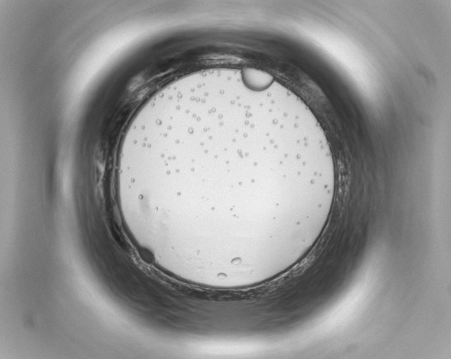 X0000114511151200911301143