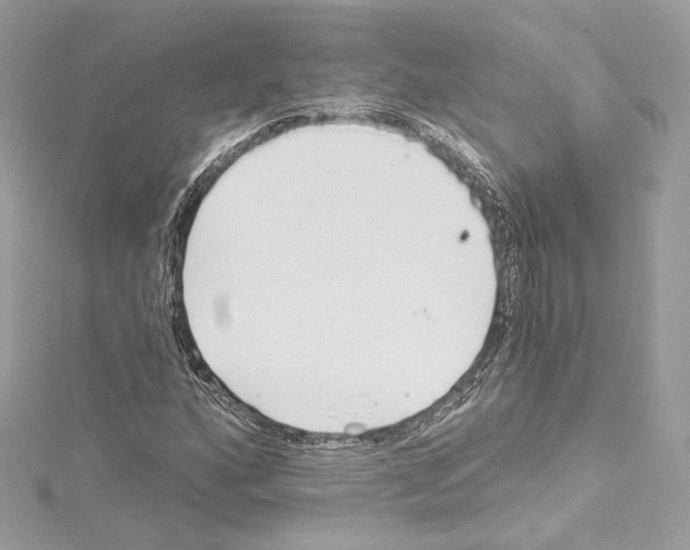 X0000114511160200911301142