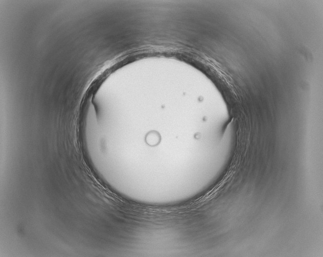 X0000114511165200911301142