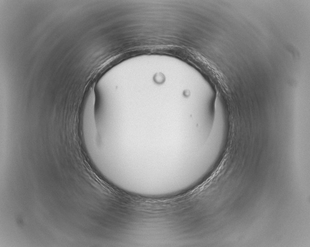 X0000114511169200911301142