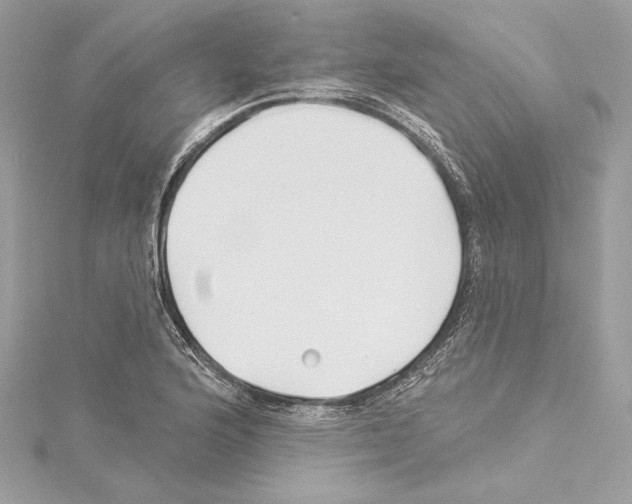 X0000114511176200911301142