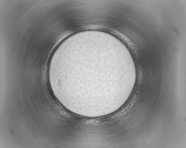 X0000114511178200911301141