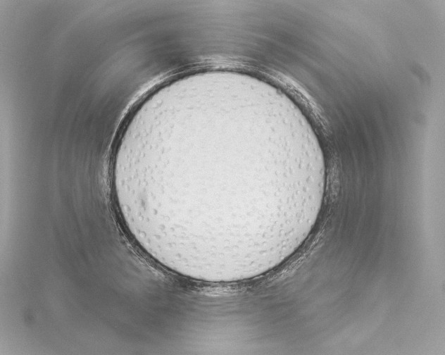 X0000114511182200911301141