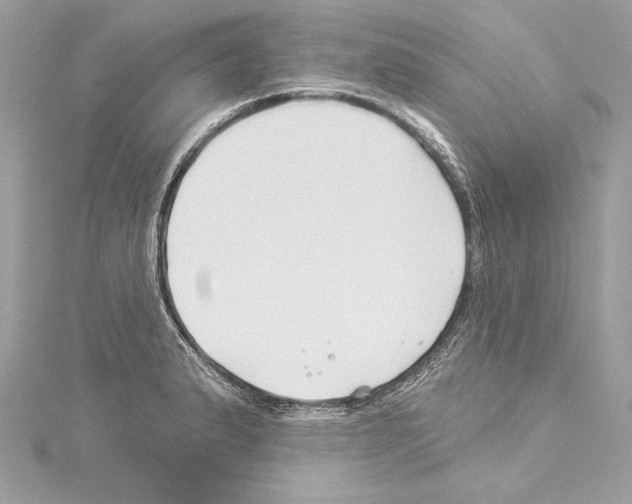 X0000114511183200911301141