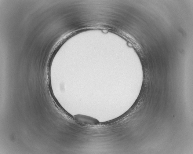 X0000114511188200911301141