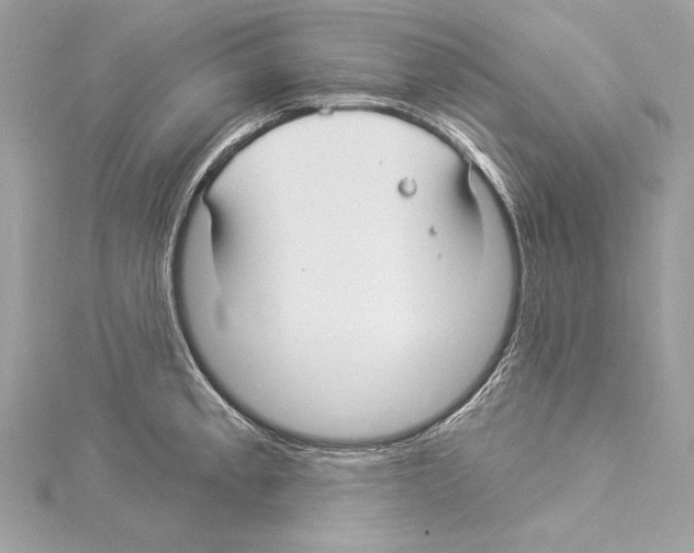 X0000114511189200911301141