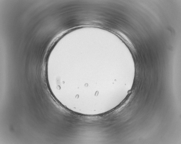 X0000114511196200911301141