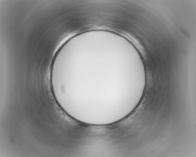 X0000114511198200911301141