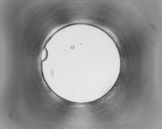 X0000114511199200911301141