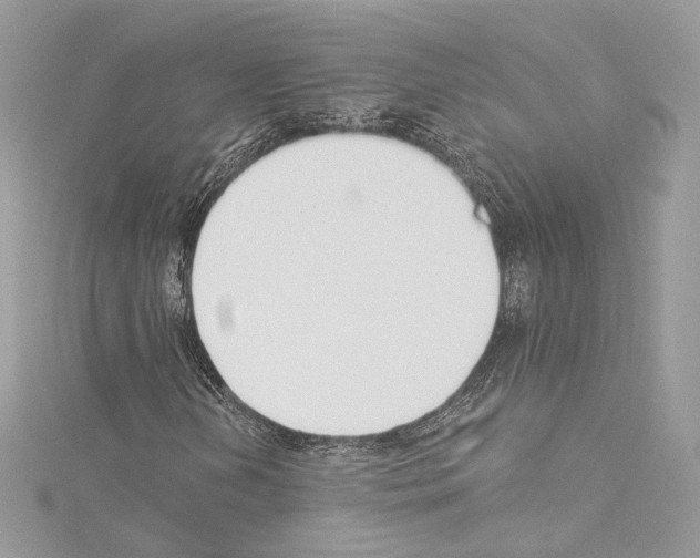 X0000114511202200911301141