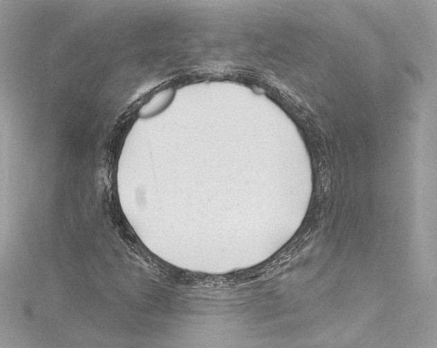 X0000114511206200911301141