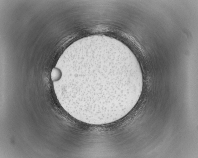 X0000114511217200911301141