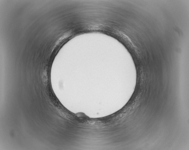 X0000114511218200911301141