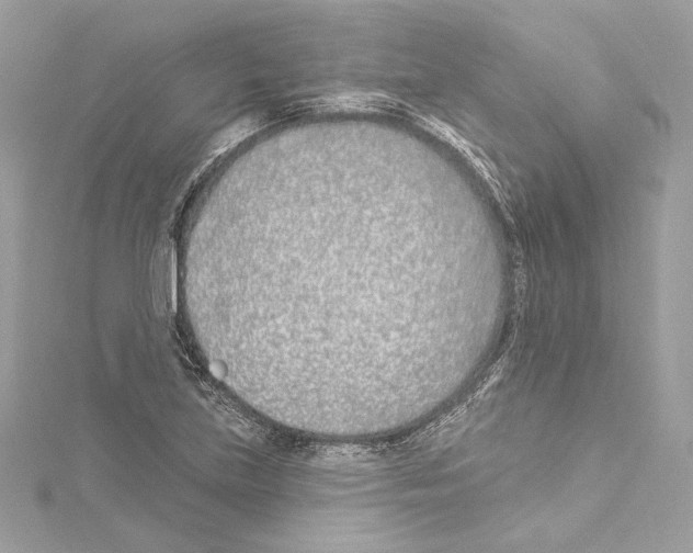 X0000114511219200911301141