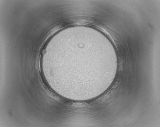 X0000114511227200911301141