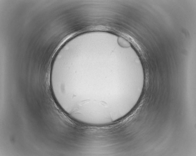 X0000114511228200911301141