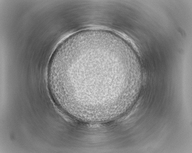 X0000114511231200911301141