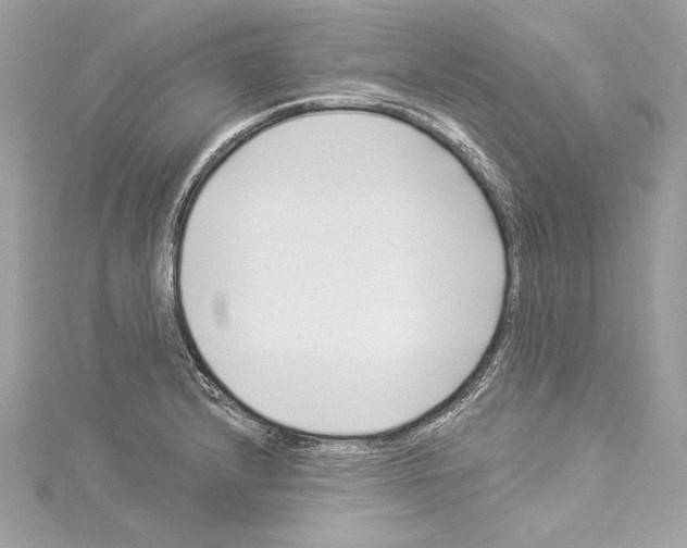 X0000114511232200911301141