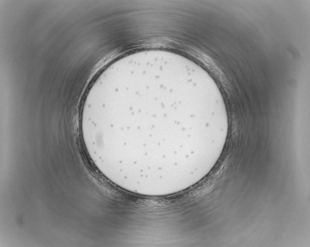 X0000114511234200911301141