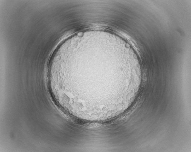 X0000114511235200911301141