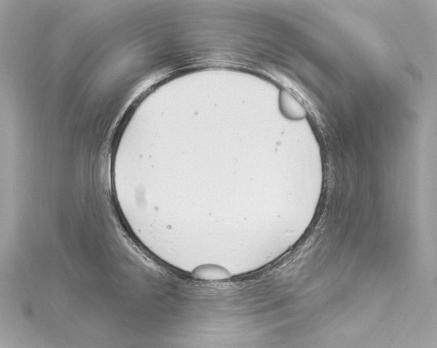 X0000114511238200911301141