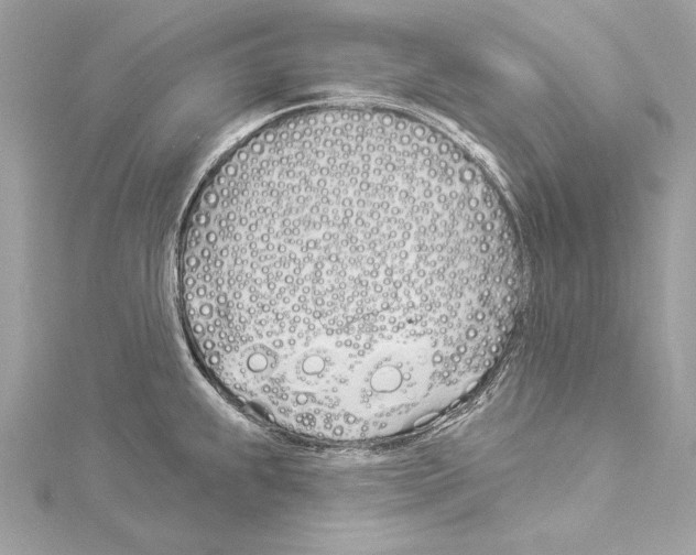 X0000114511239200911301141