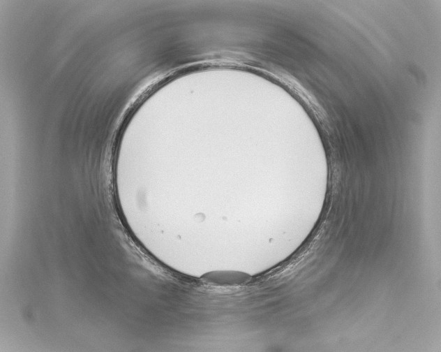 X0000114511240200911301141